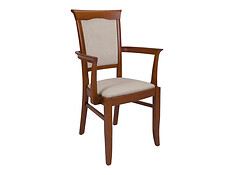 Jedálenská stolička KENT P je neodmyslôiteľnou súčasťou každej jedálne v klasickom štýle.
• Výhodou stoličky je jednoduchý dizajn s ozdobnými detailami, drevené podrúčky a čalúnené sedadlo aj operadlo. 
• Konštrukcia z bukového dreva vyzdvihuje vizuálnu aj funkčnú kvalitu. 
• Vhodné do každej obývačky, jedálne alebo domácej pracovne. 
• Farba: gaštan/Solar 16 Beige
• Jednoduchá montáž.

Farba stoličky na Vašom monitore sa nemusí zhodovať so skutočným farebným prevedením produktu.