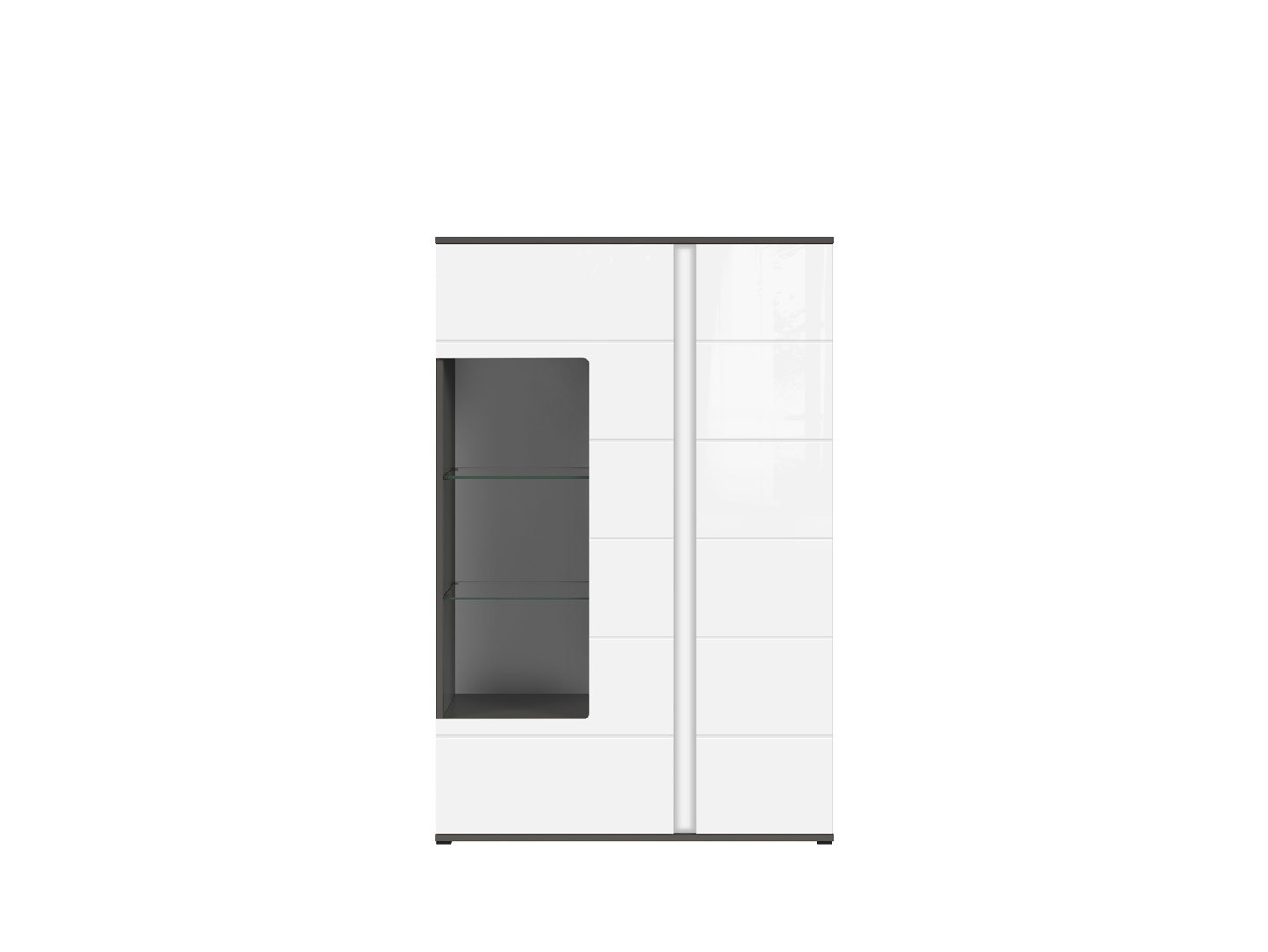 Vitrína GRAPHIC REG1W1D/A sivý wolfram/biely vysoký lesk