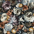 Print Kwiaty 54912/1027 Multicolor/TX144 dub wotan