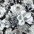 Print Kwiaty 55626/1010 White Black/ TX058 čierna