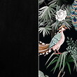 Rain 30 Black/ Print Pawie 02 Multicolor